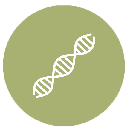 Genetic Consultation