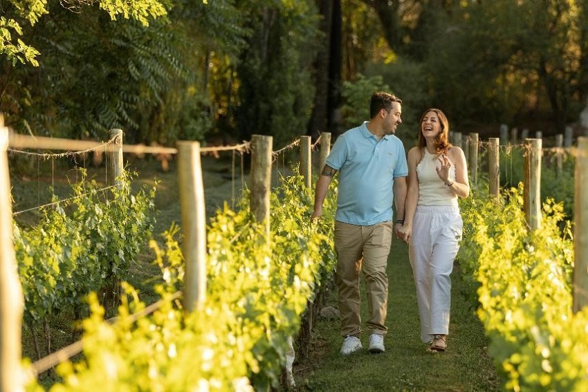 Choices for Late Parenthood: The Miracle of Egg Donation and Surrogacy
